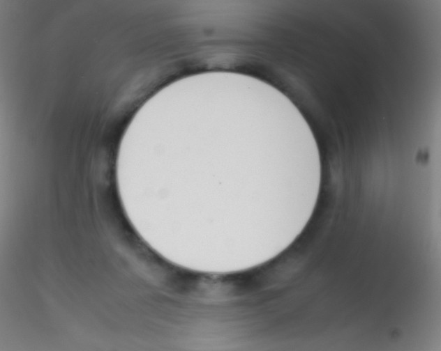 X0000115180311200911251403