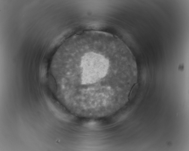 X0000115180312200911251403