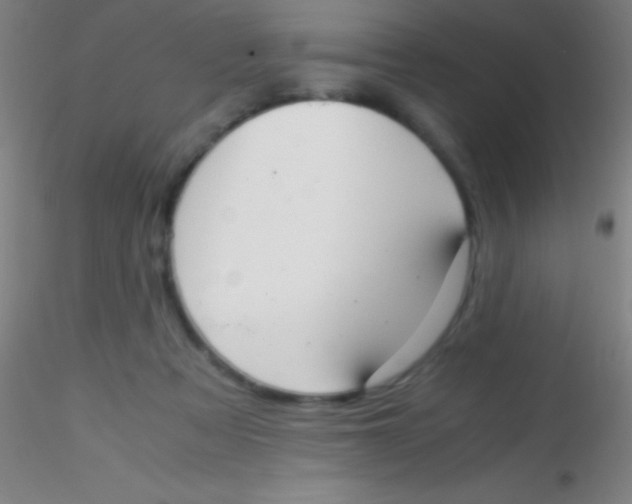 X0000115180313200911251403