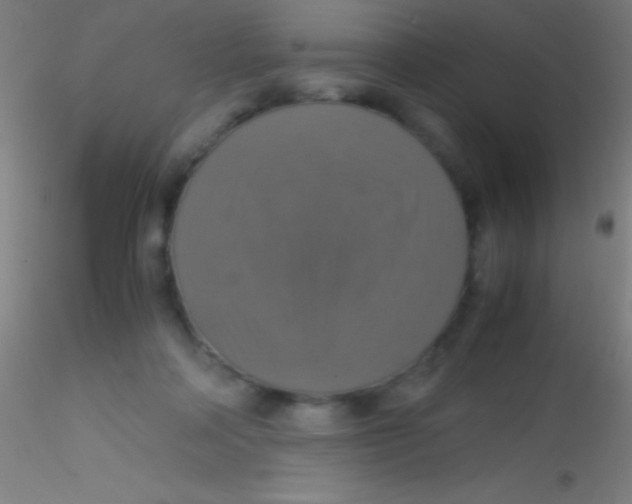 X0000115180314200911251403