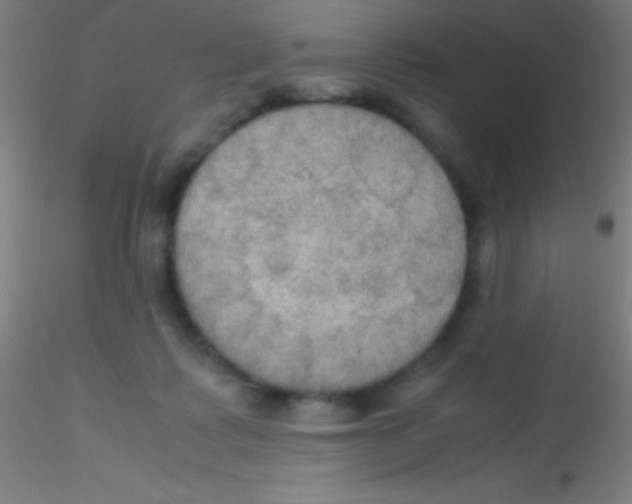 X0000115180315200911251403