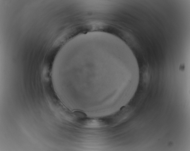 X0000115180316200911251403