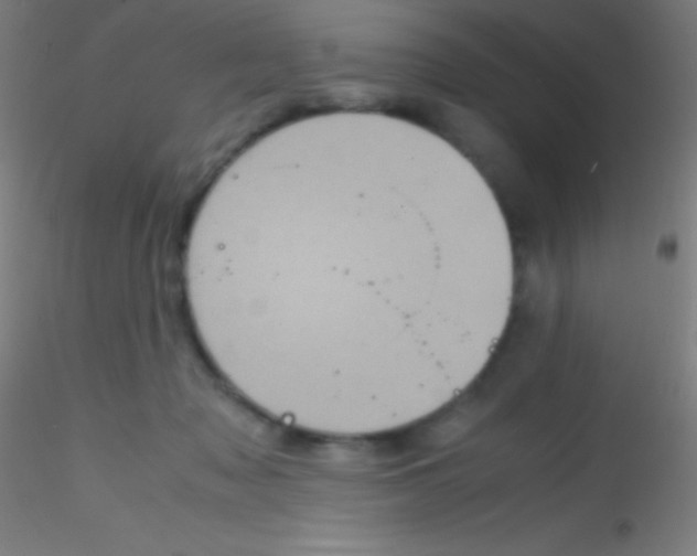 X0000115180317200911251403