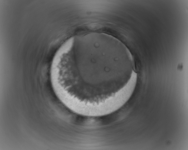 X0000115180319200911251403