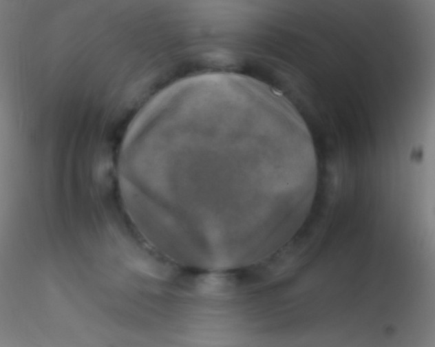 X0000115180320200911251403