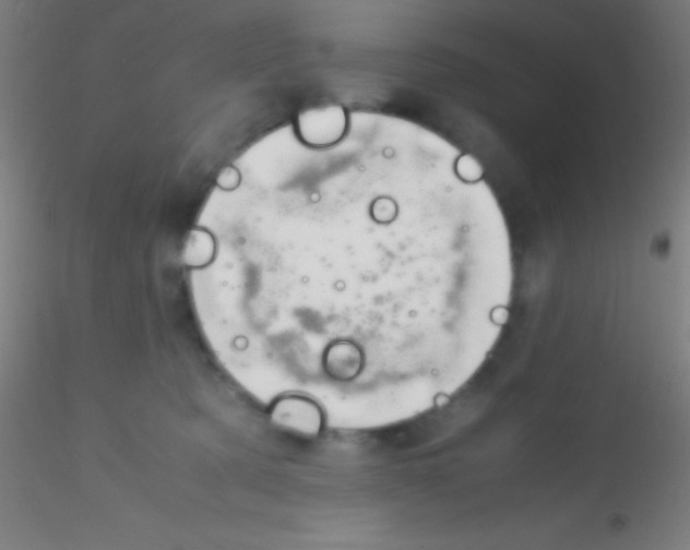 X0000115180321200911251403
