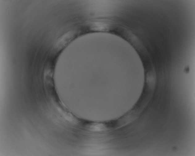 X0000115180322200911251403