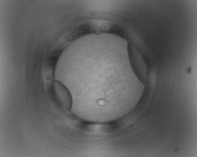 X0000115180323200911251403