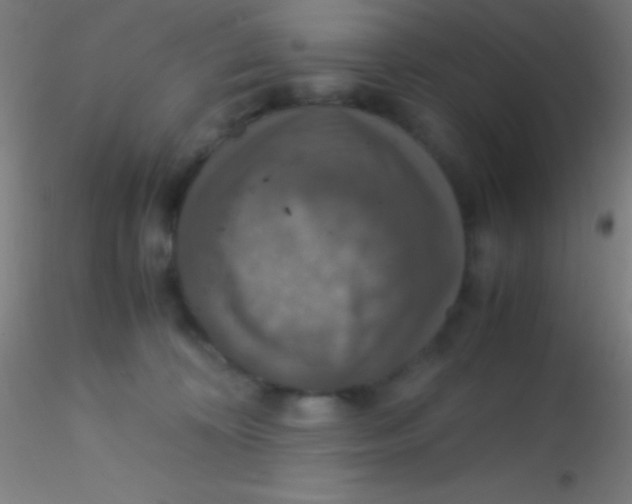 X0000115180324200911251403