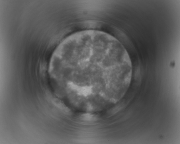X0000115180326200911251403