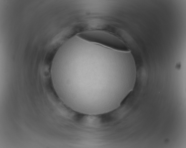 X0000115180327200911251402