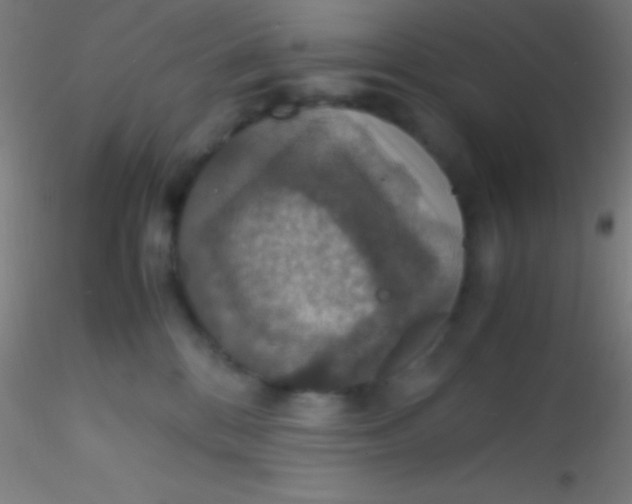 X0000115180328200911251402