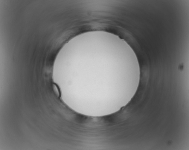X0000115180329200911251402