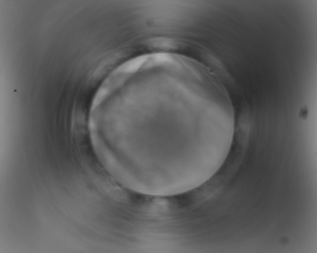 X0000115180330200911251402