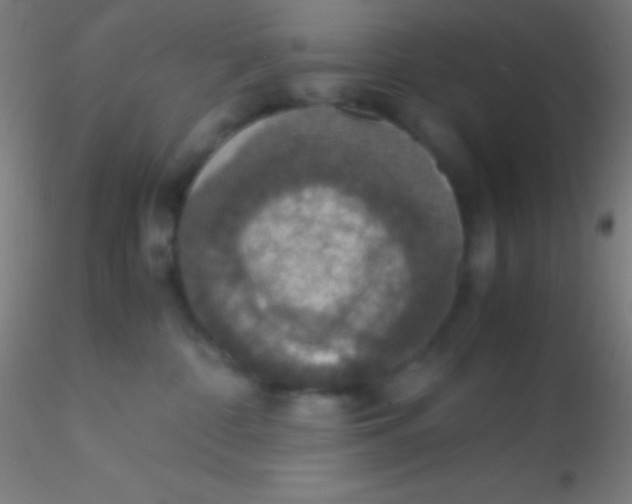 X0000115180332200911251402