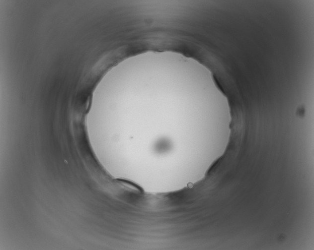 X0000115180333200911251402