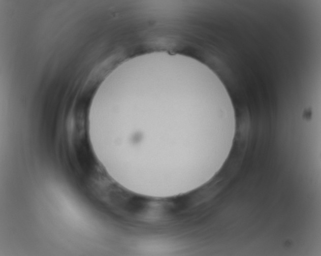 X0000115180334200911251402