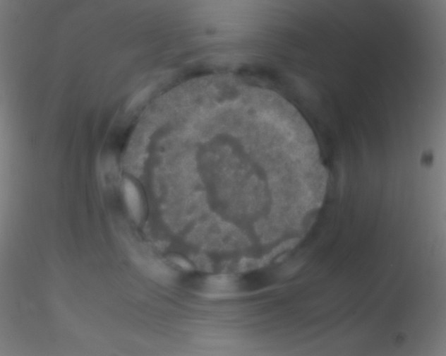 X0000115180335200911251402