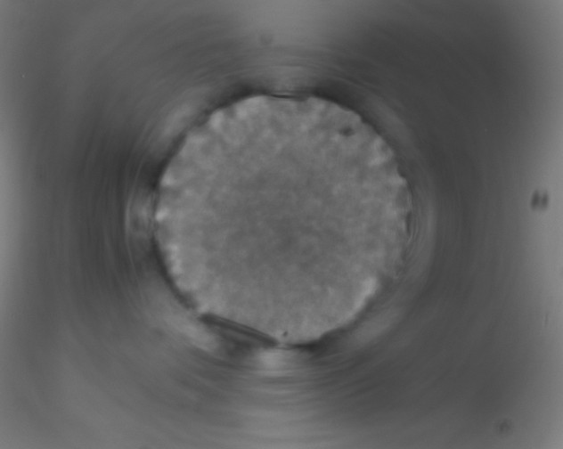 X0000115180336200911251402