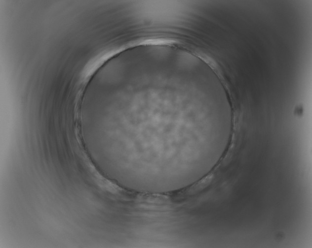 X0000115180337200911251402