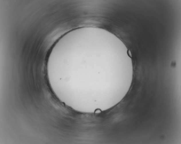 X0000115180338200911251402