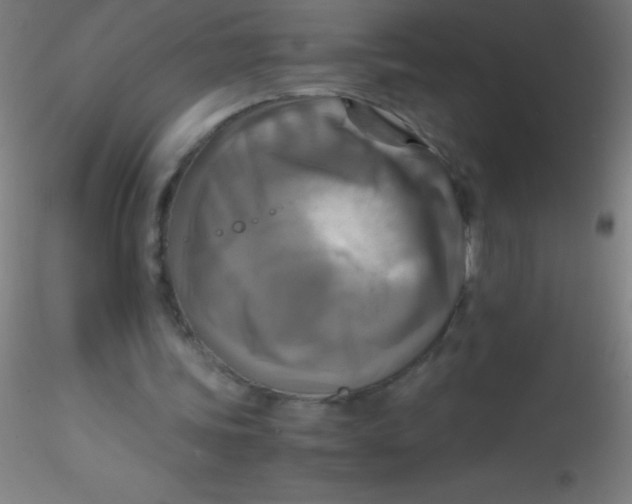 X0000115180339200911251402