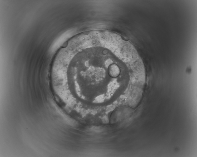 X0000115180341200911251402