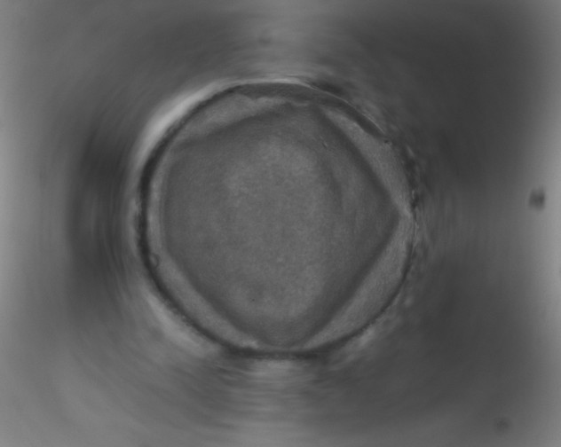 X0000115180342200911251402