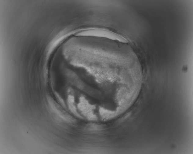 X0000115180343200911251402