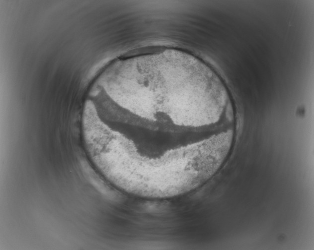 X0000115180345200911251402
