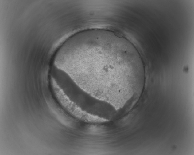 X0000115180346200911251402