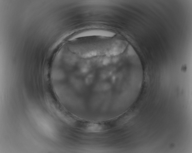 X0000115180347200911251402