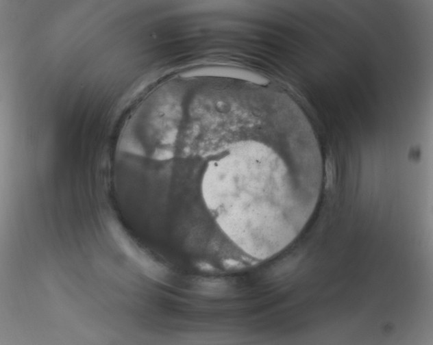 X0000115180349200911251402