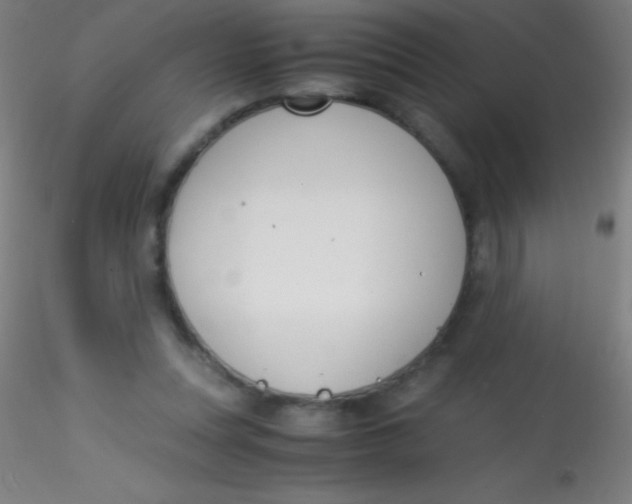X0000115180351200911251402