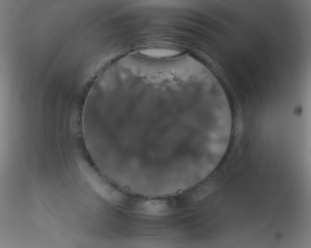 X0000115180353200911251402