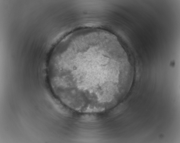 X0000115180354200911251402
