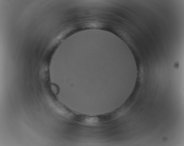 X0000115180355200911251402