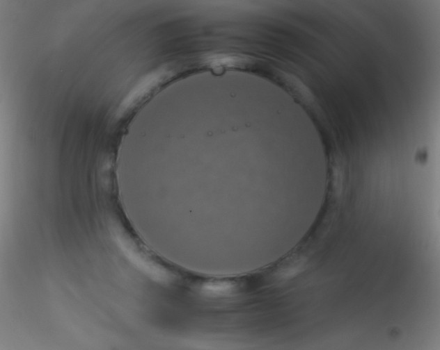 X0000115180357200911251402
