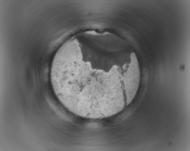X0000115180358200911251402