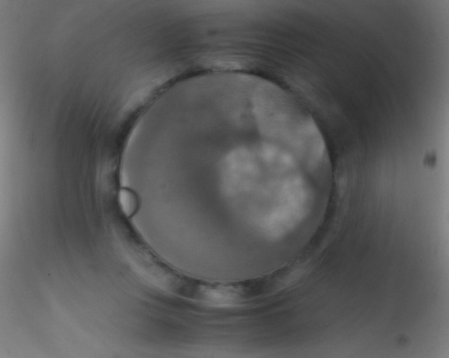 X0000115180359200911251402