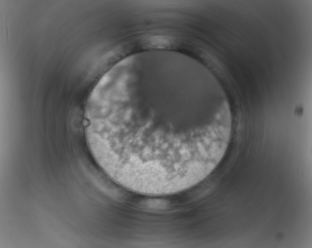 X0000115180361200911251402