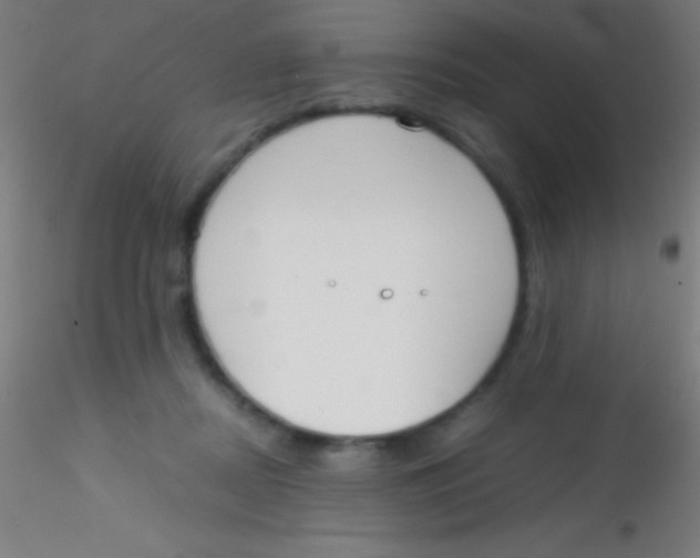 X0000115180362200911251402