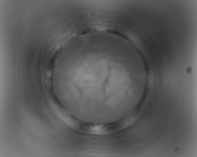 X0000115180365200911251402