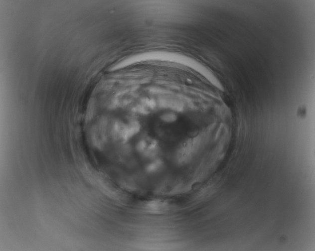 X0000115180366200911251402