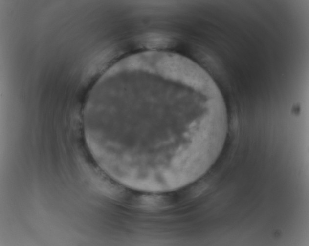 X0000115180367200911251402
