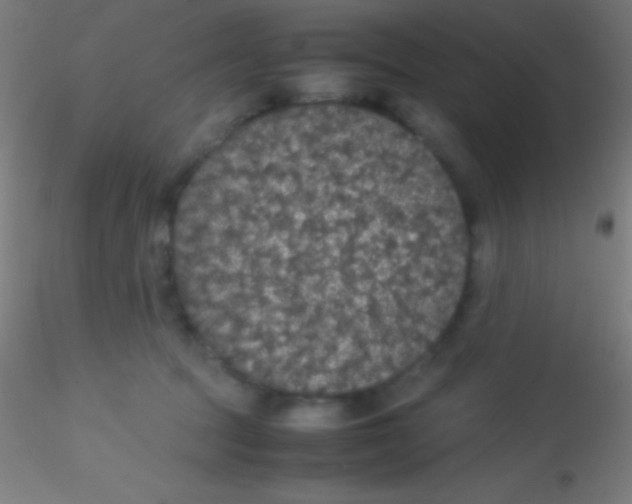 X0000115180369200911251402