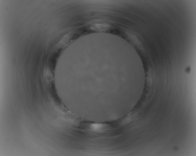 X0000115180371200911251402