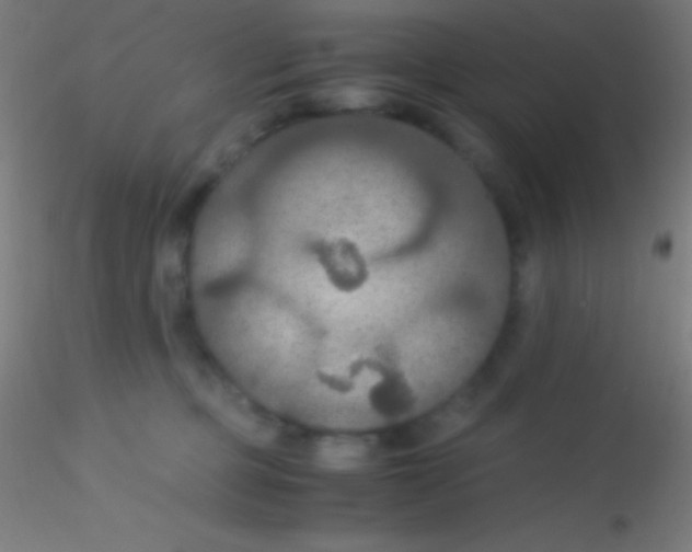 X0000115180373200911251402