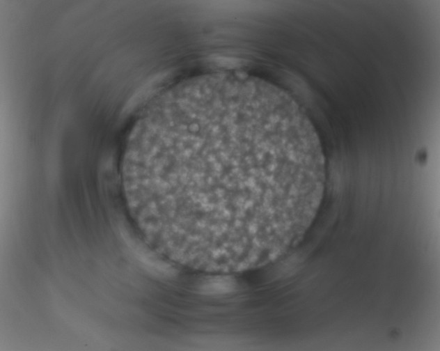 X0000115180377200911251402