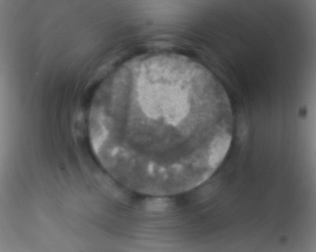 X0000115180378200911251402